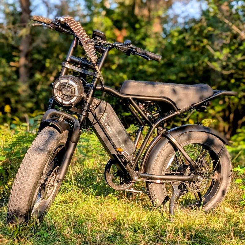 Electric Bike 1500W Full Suspension