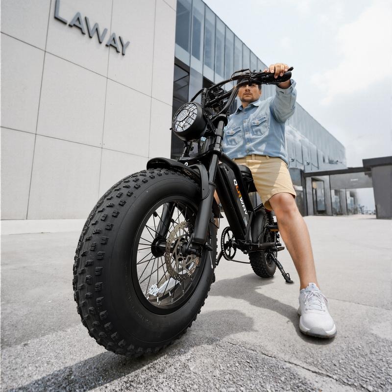 High Carbon Steel Off Road Electric Bike